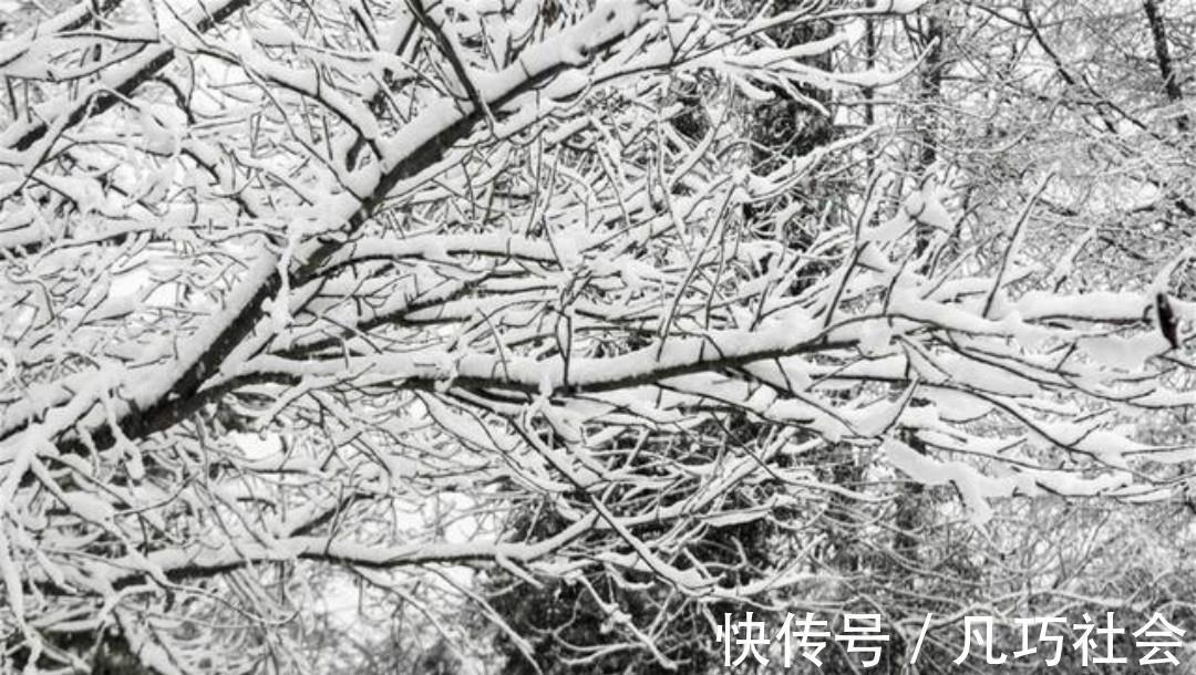 杨万里&杨万里流传很广的两首咏雪名篇,不仅写出了新意,同时还美得惊艳