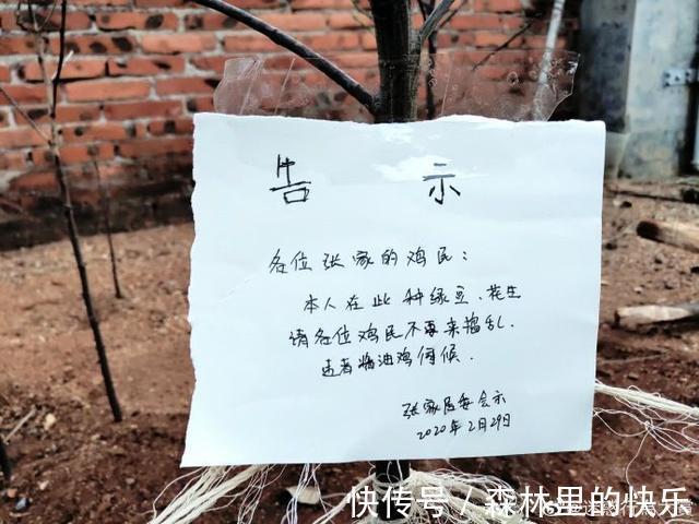 |男朋友:我太难了 冷段子1381 & 去年今日1071