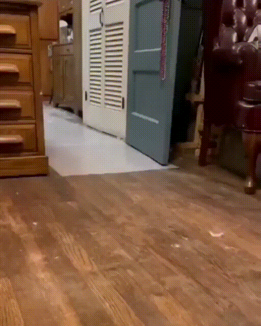 |搞笑动态图:该死,被他装到了!