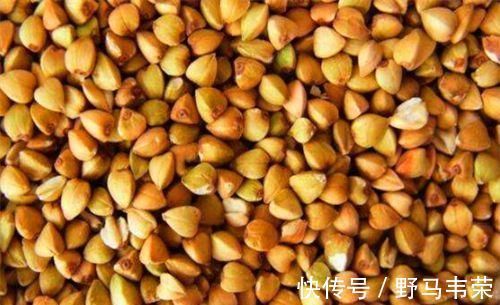 排毒养颜|会吃的人最健康,3种食物离不开,排毒养颜,有益健康!