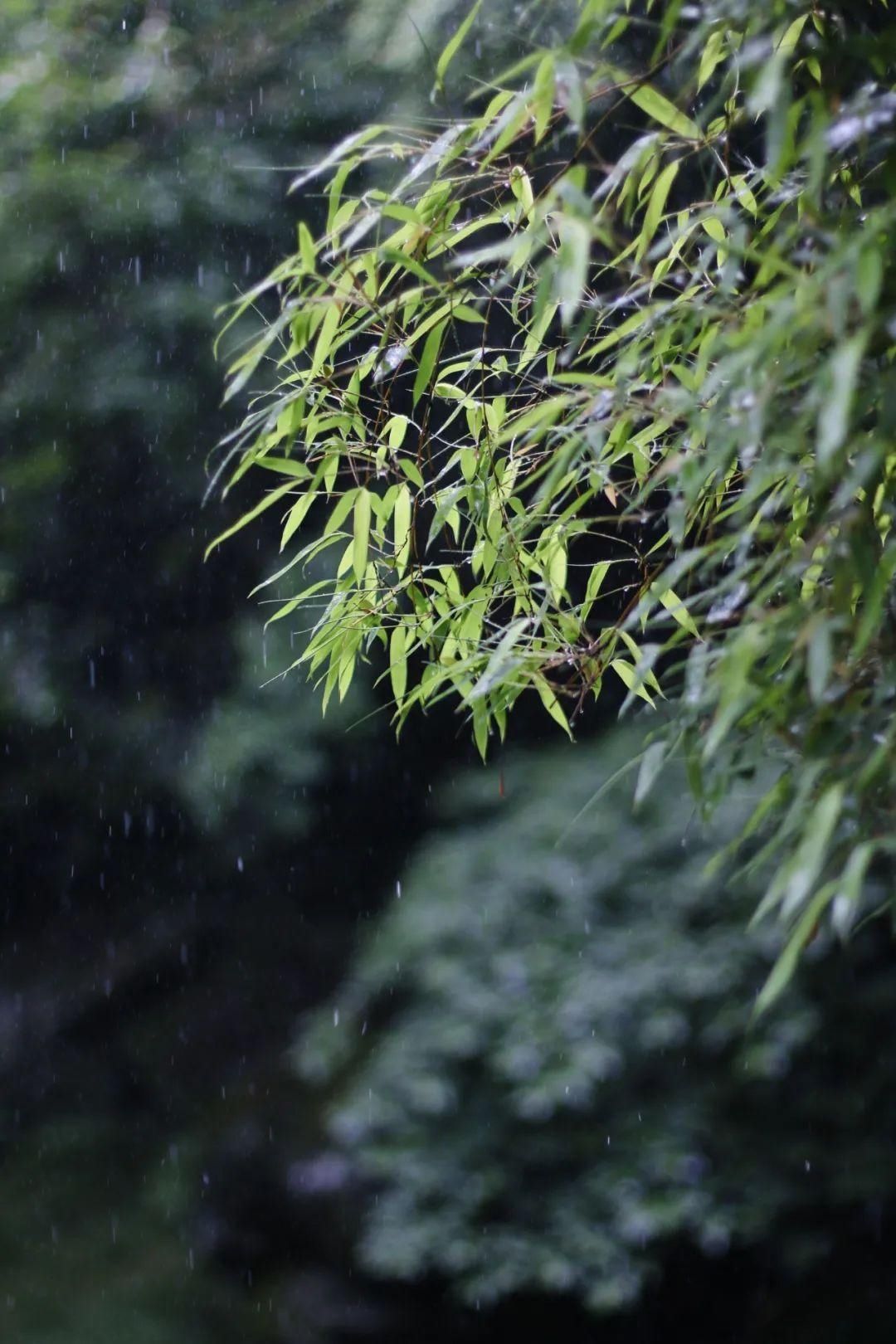 天青色等烟雨，宁波美到你！