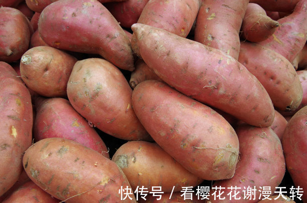 红薯不会保存教你几个技巧，放一年不成问题，越放越好吃！