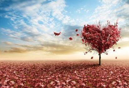 馮小剛說，葛大爺和張國立都掉水里，先救葛大爺，最后救張國立