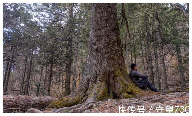 梅里雪山|香格里拉，梅里雪山徒步之旅，真的是太好玩了