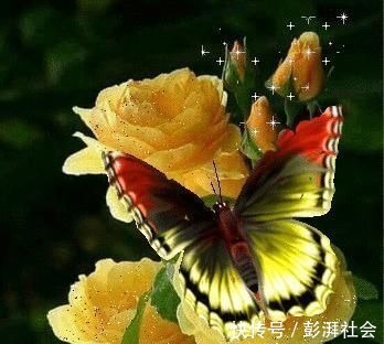 人心!良言20句,见证人心,看透人性看一次胜读十年书