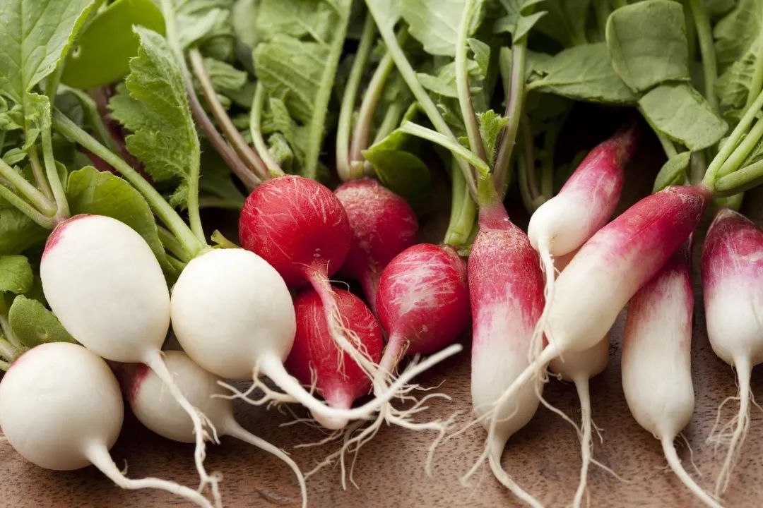 维生素c|十月萝卜赛人参,这样搭配效果更佳!但颜色不同,作用各异,可别吃错了~