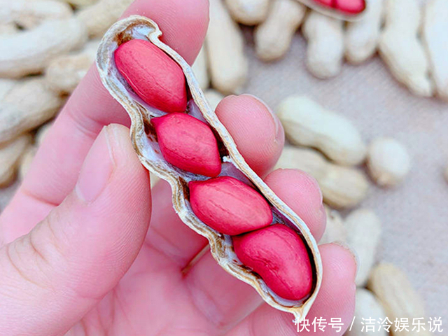 红皮花|同样是花生,“红皮”和“白皮”的区别这么大知道后别再瞎买了