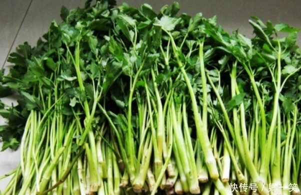 水芹菜|农村地里被遗忘的这些野菜,最后一种基本没人知道,你都知道吗?