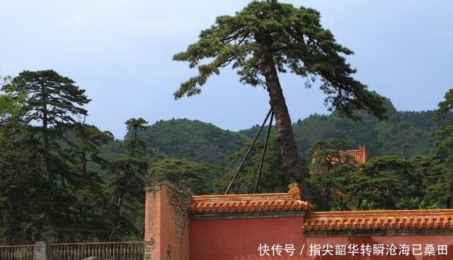 帝皇|宠妻如命,真正做到一夫一妻的帝皇