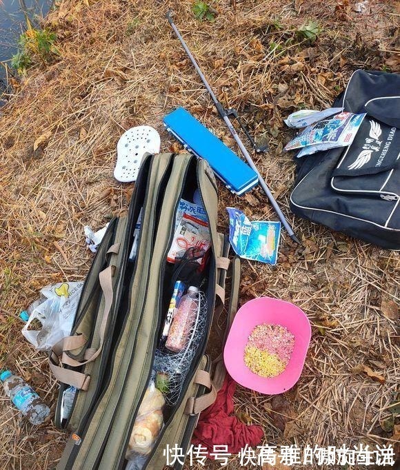 鱼层|冬天狂口的水中精灵银鮈，方法用好野钓也可以小爆护哦！