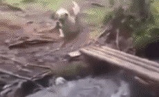 |搞笑GIF趣图大哥,你怕不是来健身,是来练武的吧!