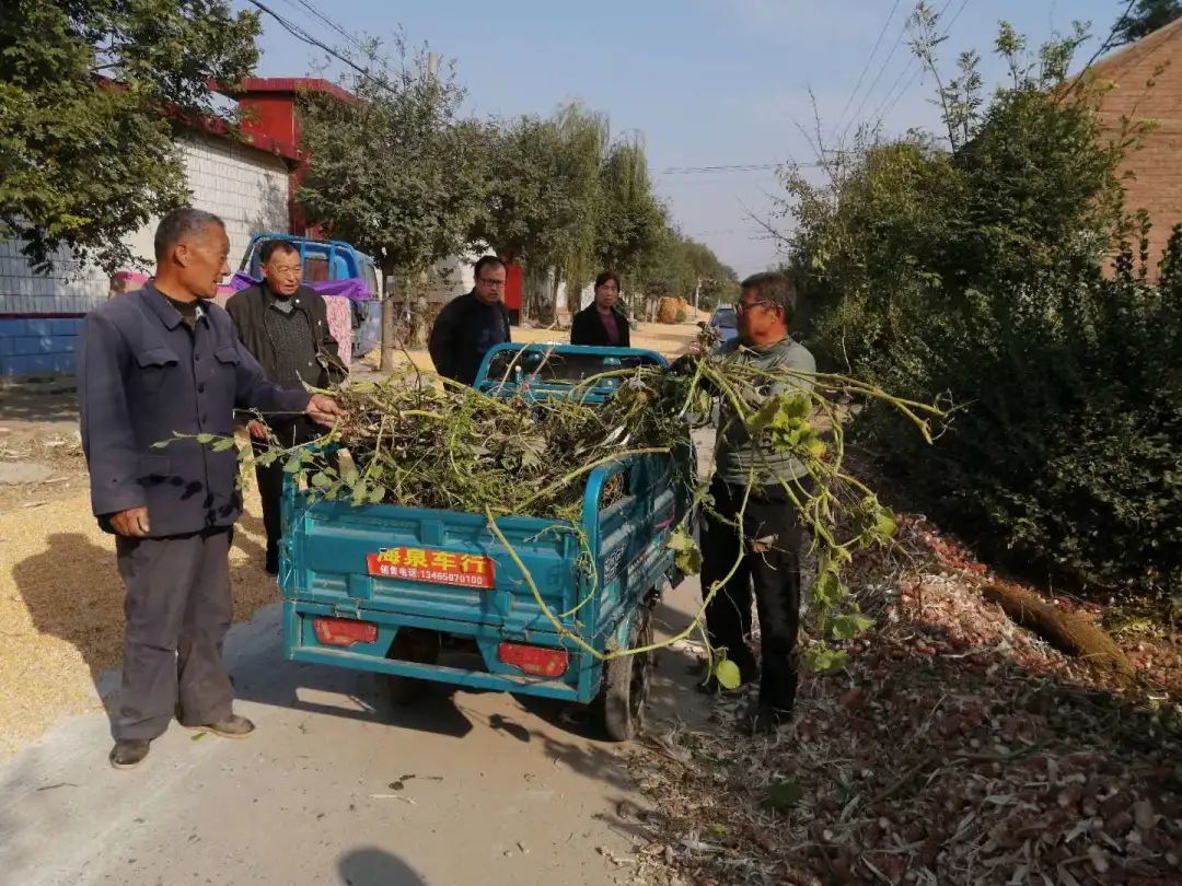 台子|台子镇：周末不休，全民动手提升城乡颜值