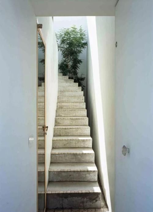 面积|38㎡小户型,一半面积是庭院,到了晚上才知道这样设计有多高级!