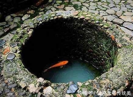 古井|农村古井里为什么要“养”鲤鱼,又没人打捞,真相原来是这样的