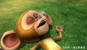 熊出没中最痴情的五位,光头强落榜,第一名大家都没见过他的脸