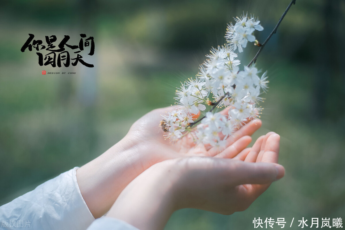 等待|你若安好,便是晴天,在一杯茶的光阴里,等待故人重逢