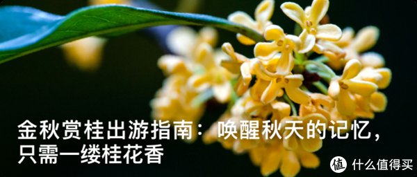 云南|阳澄湖的大闸蟹虽美，但新疆、青海、云南……的也不赖（确定没有打错地名）