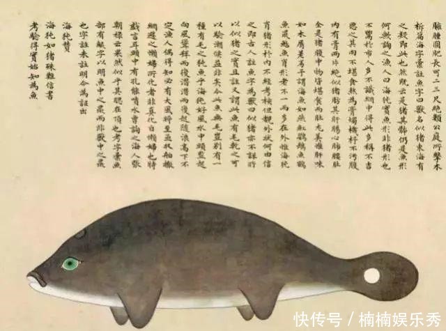 海洋生物|中国古书上的鱼人图,放大看让人匪夷所思