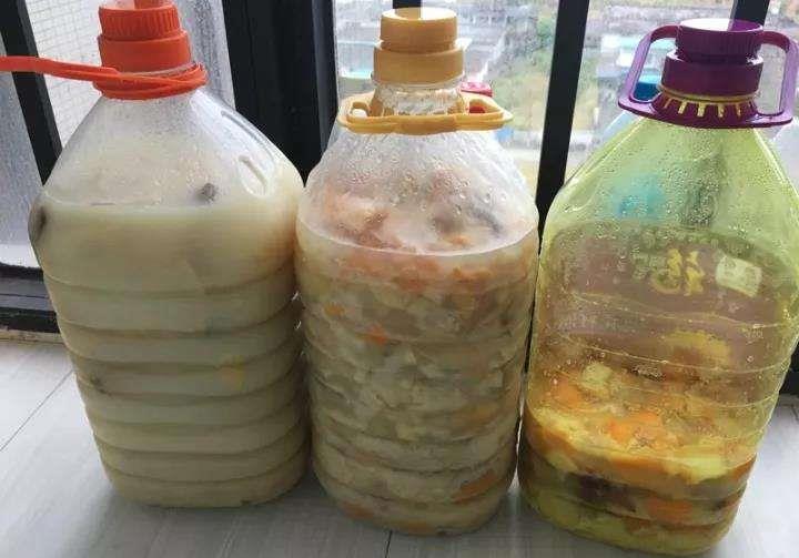 绿萝最爱喝的5种水,喝完长得贼快,叶子像刷了“绿油漆”