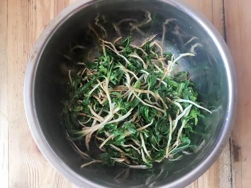 曾是穷苦人救命菜,如今成民间极品野菜,味赛荠菜,见到请别错过