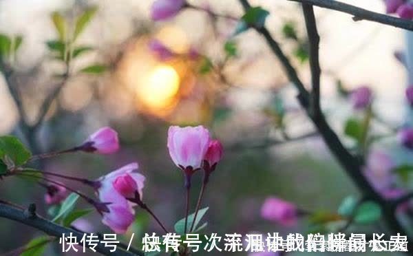 晚照#宋祁的这首词很美,开篇就让人心醉,传唱千年,经久不衰