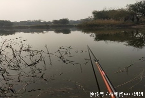 初春为什么自然水域的鲫鱼会浮头难钓老钓友教你三招上鱼技巧