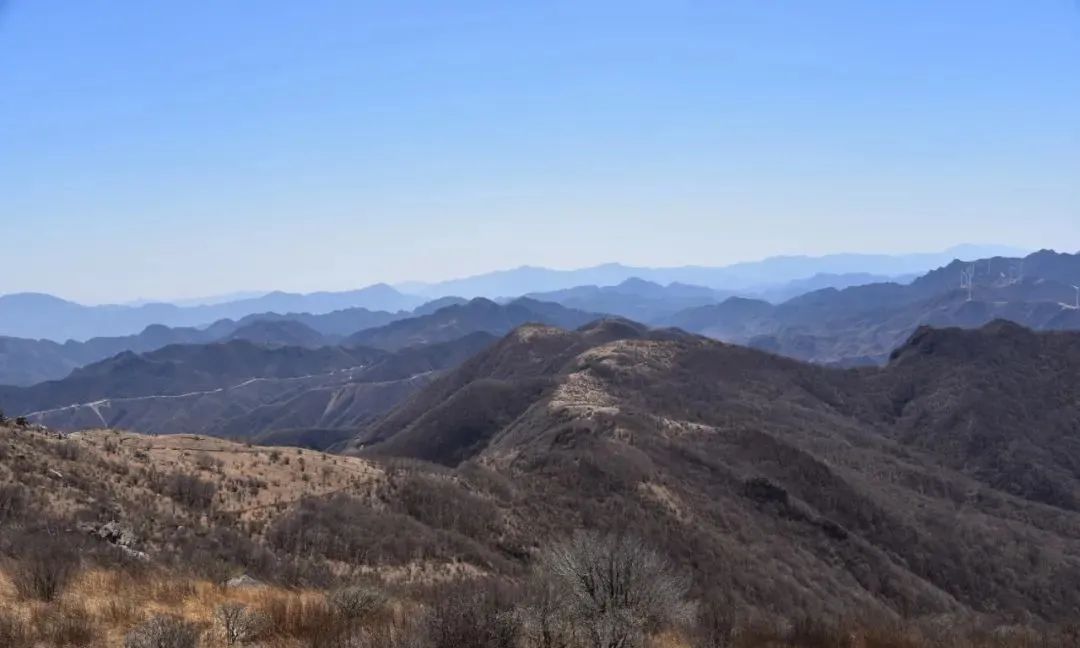 昌平花事：长峪城山花烂漫青山翠