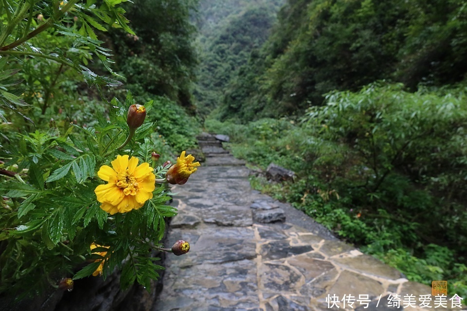 矮寨奇观景区，不仅有百年公路千年苗寨，更有被评为世界最美的大桥