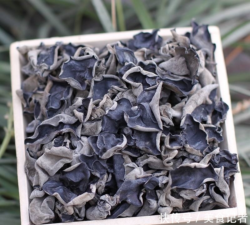 食材|这种生长在长白山的野生食用菌,外形普通,却是日常保健的好食材