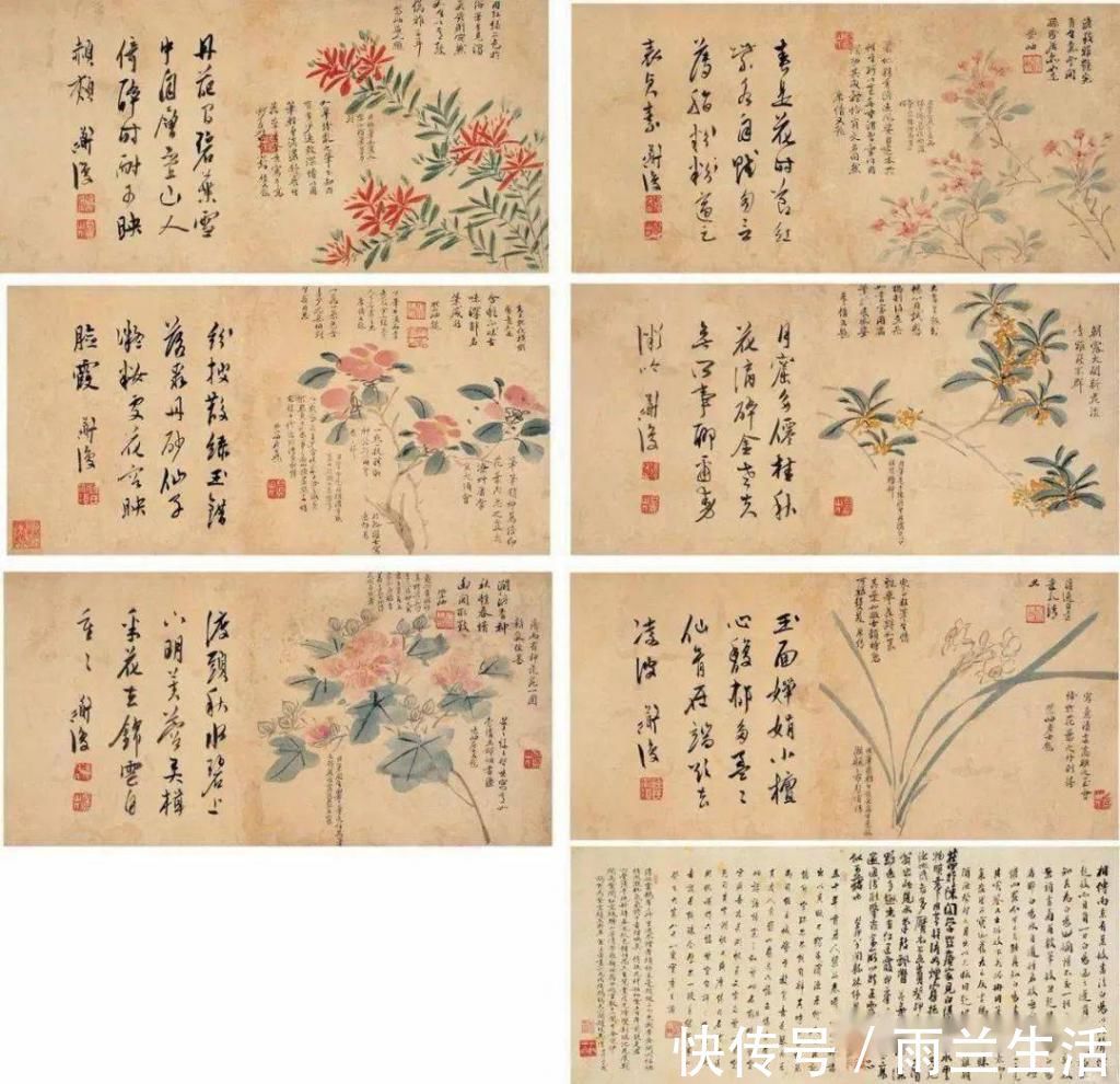 陈淳@与徐渭齐名,这个富二代的一花一世界!