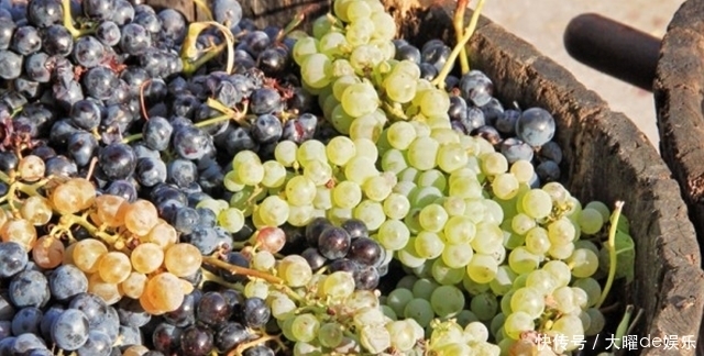 养肝|养肝就是养命!水果店5种肝细胞“续命果”