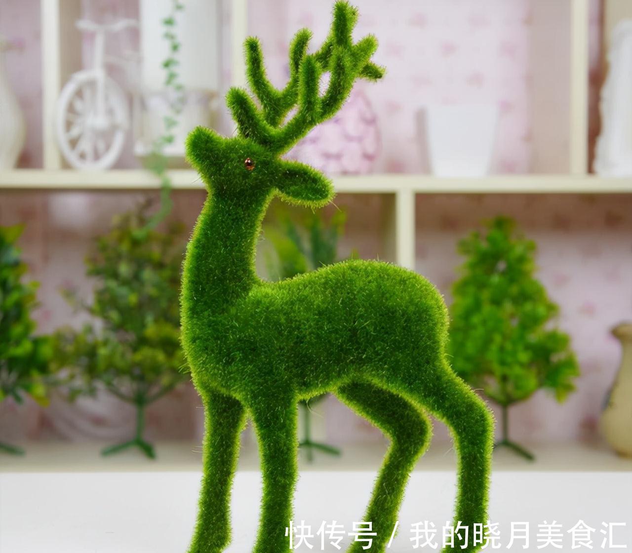 苔藓盆栽3大玩法，随地取材还不花一分钱，好看更好养