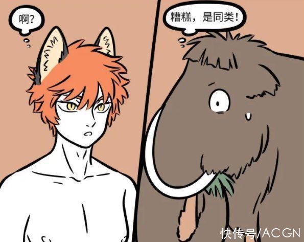 动物园|非人哉:九月动物园打工偶遇同类,对面那狐狸长得挺帅,感觉有事