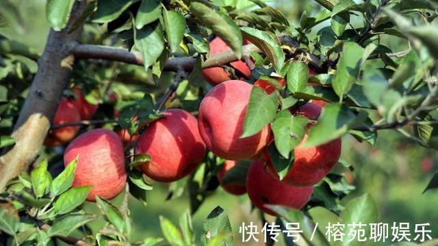 食盐量|高血压要严格忌口少碰4物,遵循5原则,血压可能比较“乖”