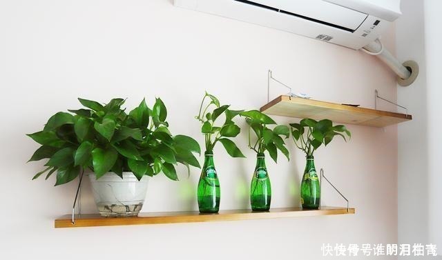 墙面|看腻了北欧风,43㎡一居室靠超美配色做到了优雅高级!