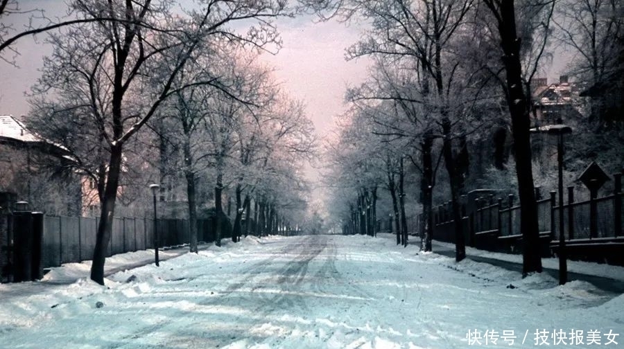 菩提树下大|德国正在打仗，柏林却一片祥和“岁月静好”