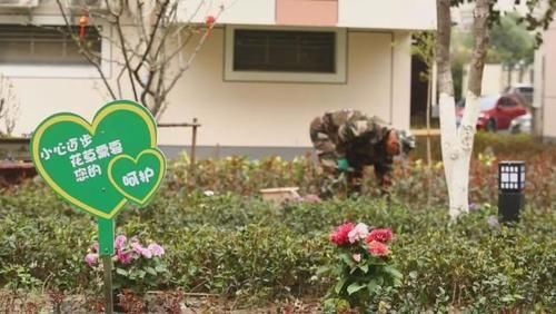 拆迁户|好消息：房龄超过21年，满足条件的，3年内或全拆重建