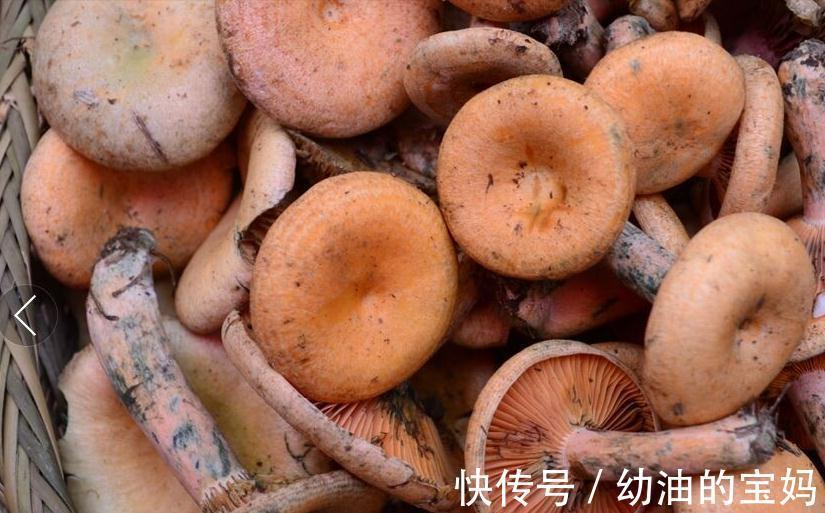 野葱|农村老家常见的15种“不知名”野菜,用对都是宝!你都吃过吗?