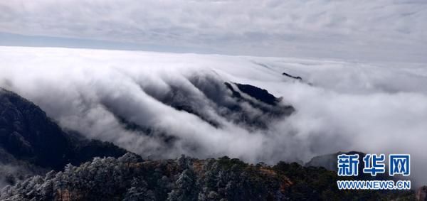 玉树琼枝|冬日黄山 玉树琼枝云海如画