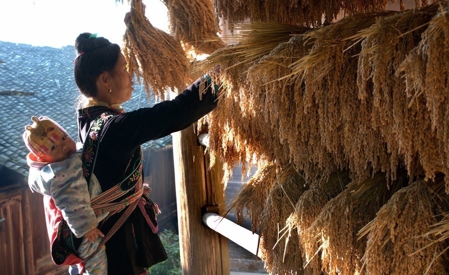 随心所欲|最神秘的村寨：700年来不外娶不外嫁，生男生女随心所欲