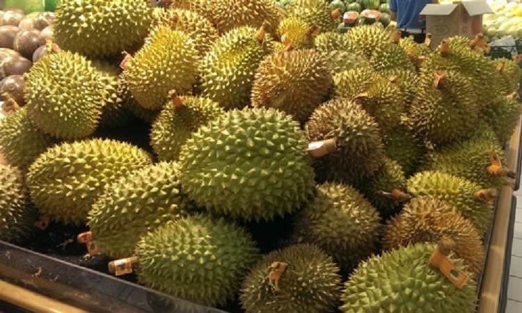 榴莲|生理期需要远离的几种水果,保护自己的身体,经期要注意