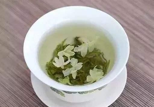 满天星|想茉莉多开花,只需做到这4点,让每盆都变成花海