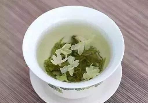  满天星|想茉莉多开花，只需做到这4点，让每盆都变成花海