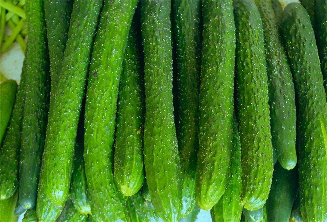 延缓衰老|30岁女性多吃3种食物,美容养颜,延缓衰老,好处多多