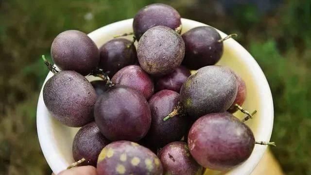 膳食纤维|便秘“终结者”公布，并不是香蕉，隔三差五吃点，或可排出老宿便