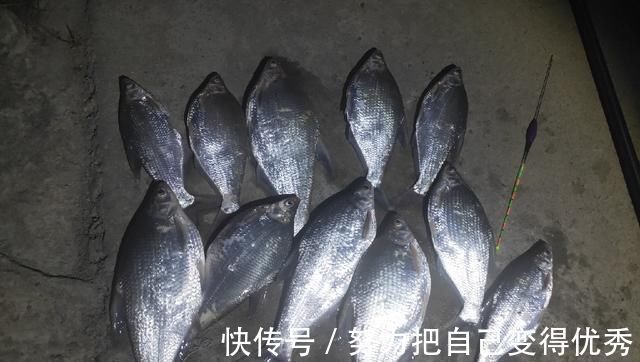 技巧|野钓鳊鱼时的实践技巧,老钓友详细讲解,非常实用