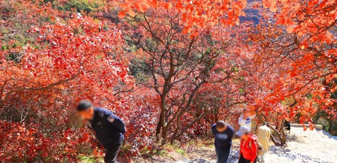 这是不是神仙居住的地方实在是太美了！