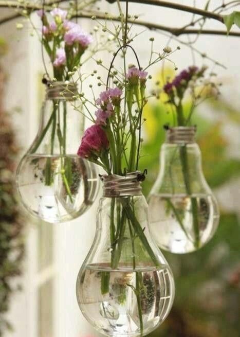 阳台|把灯泡拿去养花,挂在阳台上太好看了!真的太佩服邻居的脑洞