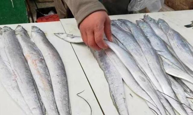 买带鱼时,“黑眼睛”和“黄眼睛”哪个好?弄懂再买,少花冤枉钱