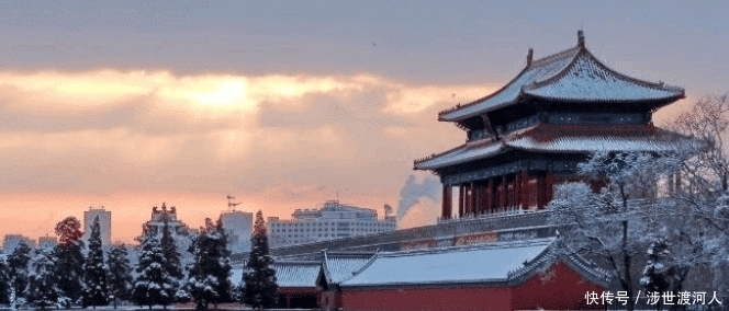 老年|故宫60年来屋顶没落过鸟粪？专家研究后，感叹：古人太聪明了